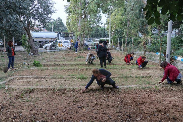 Kursiyerler ilaç ve kozmetik ürün yapımında kullanılan bitkiler yetiştiriyor G4