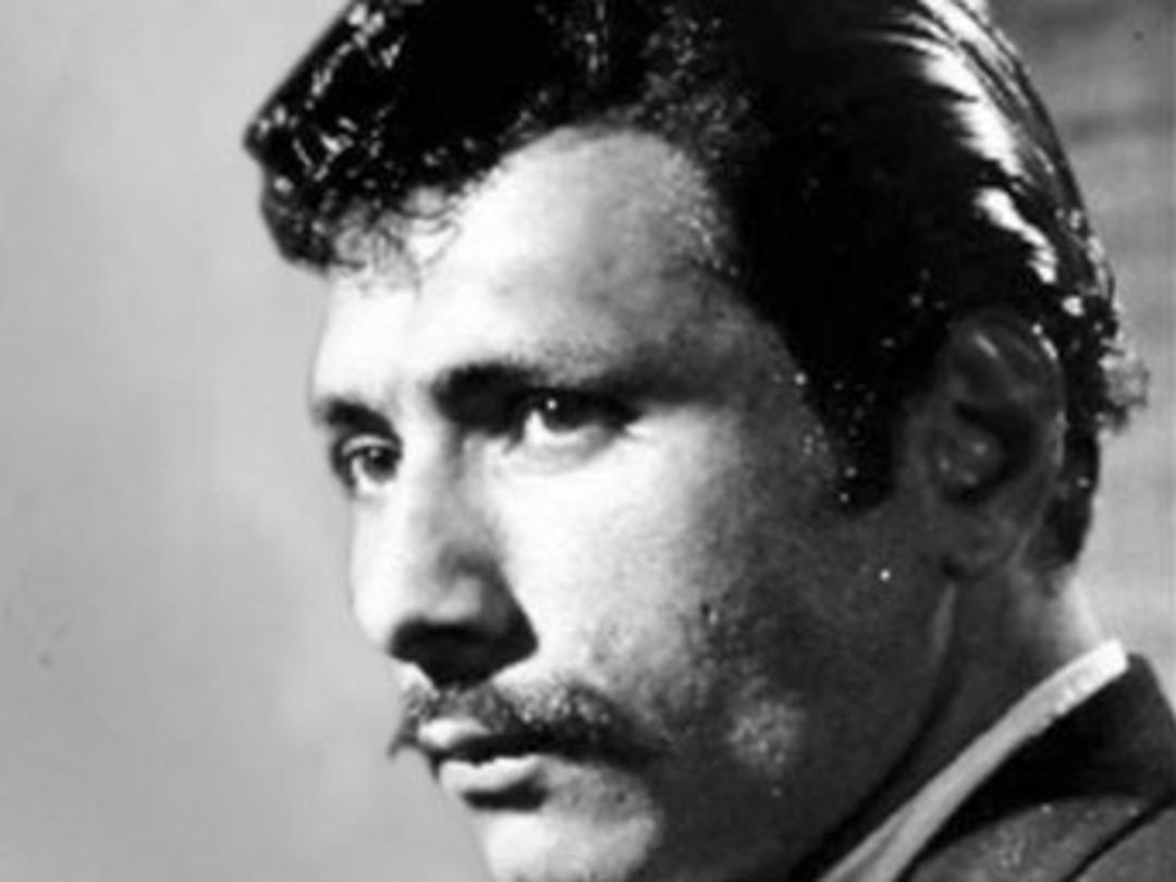 Panter yaşamını yitirdi