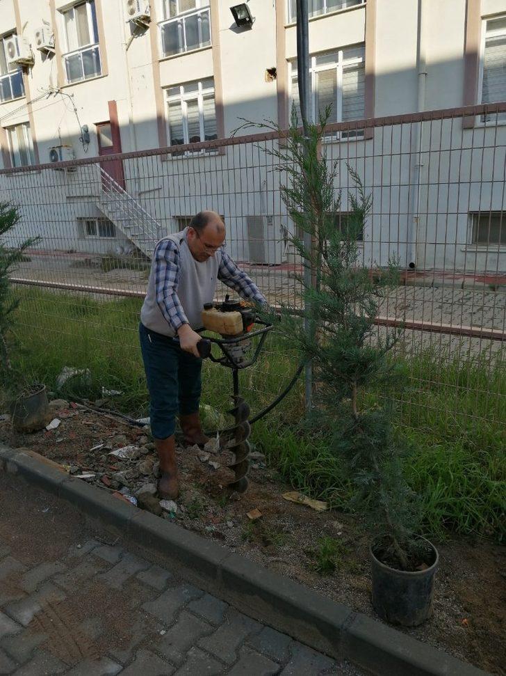 Gönüllü öğrenciler okul bahçesine ağaç dikti G4