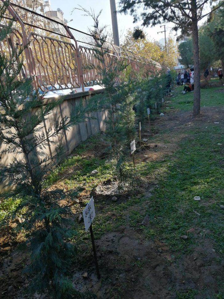 Gönüllü öğrenciler okul bahçesine ağaç dikti G5