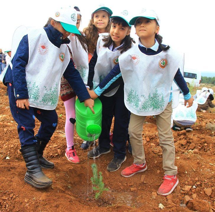 Aydın ve Muğla’da 2019’da 1 milyon fidan toprakla buluştu G2