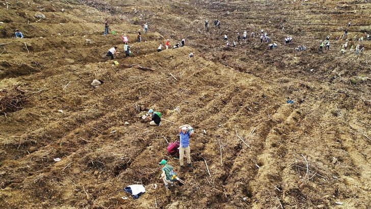 Aydın ve Muğla’da 2019’da 1 milyon fidan toprakla buluştu G4