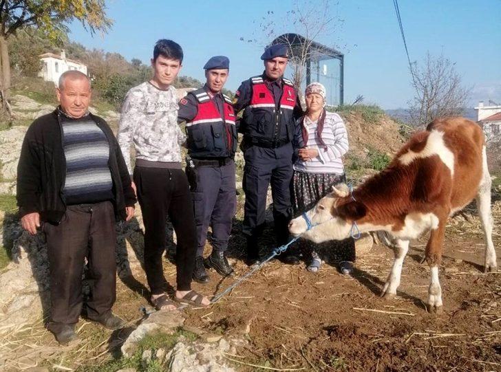 Suç makineleri tutuklandı G2