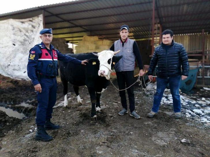 Suç makineleri tutuklandı G5