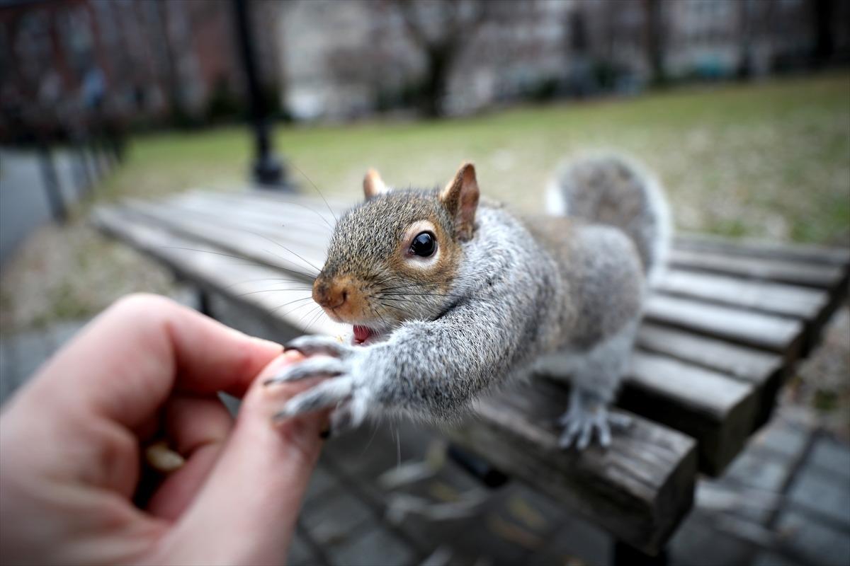 Sincaplarla bir g&uuml;n ge&ccedil;irmeye ne dersiniz?