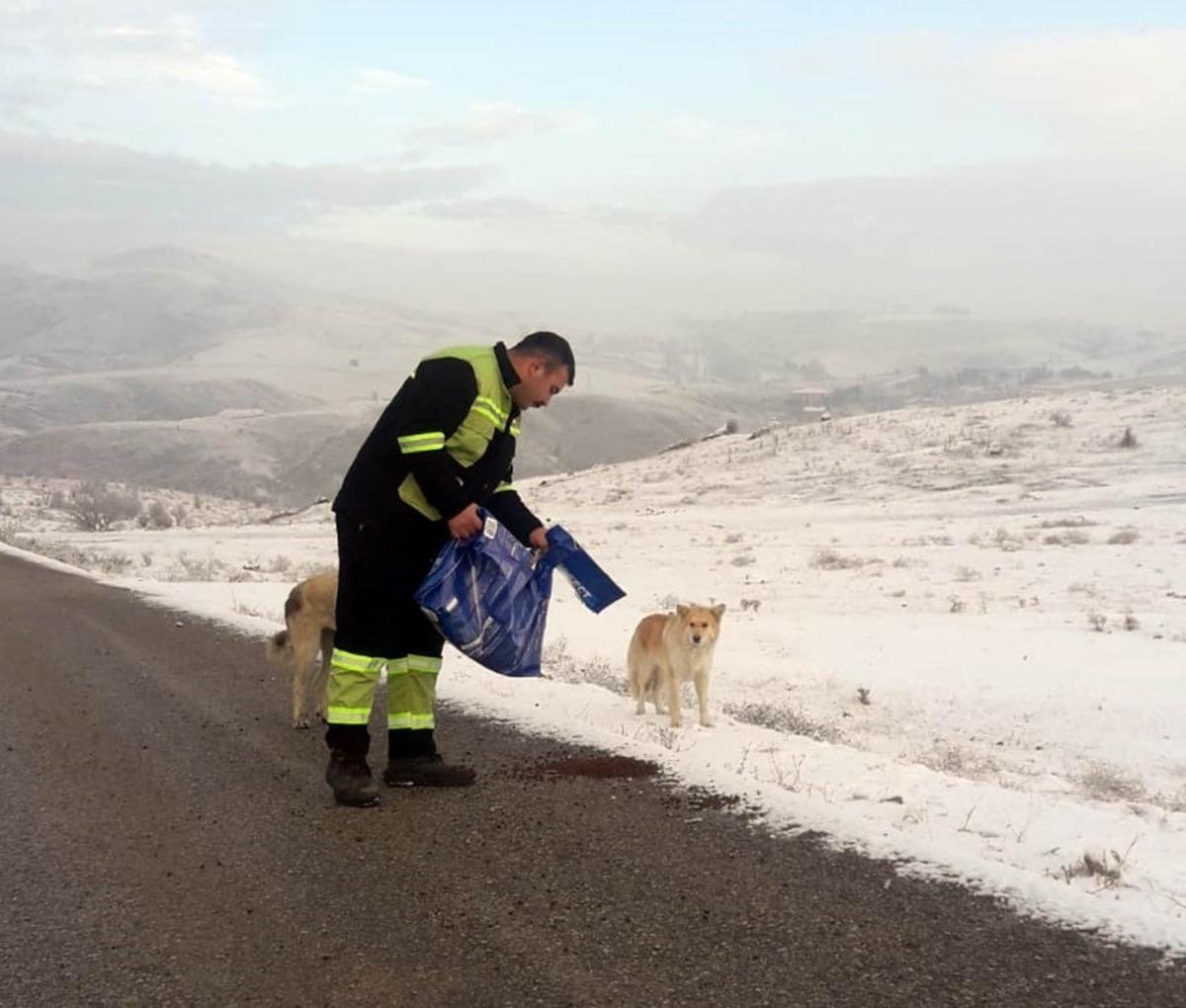 Sokak hayvanlarına mama desteği