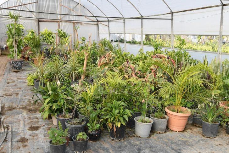 Esen, “253 bin bitki ürettik” G2