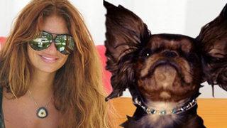 Köpeğine pırlanta kolye taktı
