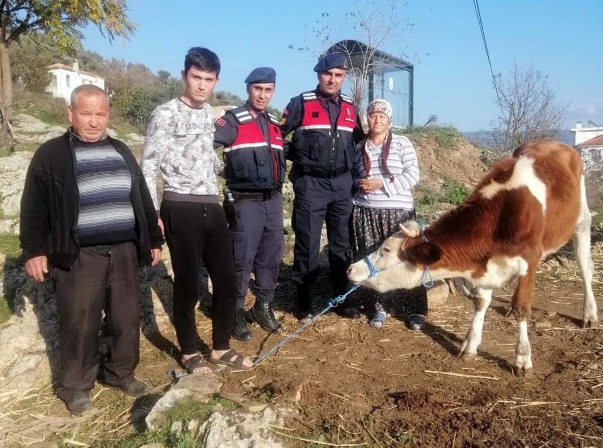 'Daltonlar' hırsızlık &ccedil;etesine operasyona 3 tutuklama