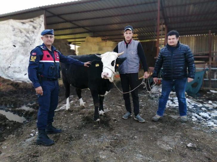 'Daltonlar' hırsızlık çetesine operasyona 3 tutuklama G2