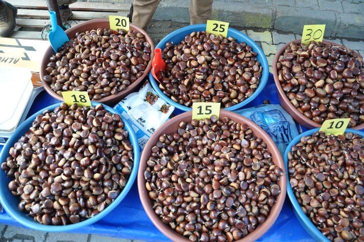 Simav kestanesine ilgi G2