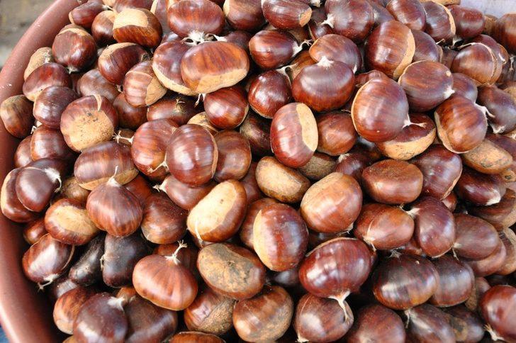 Simav kestanesine ilgi G3