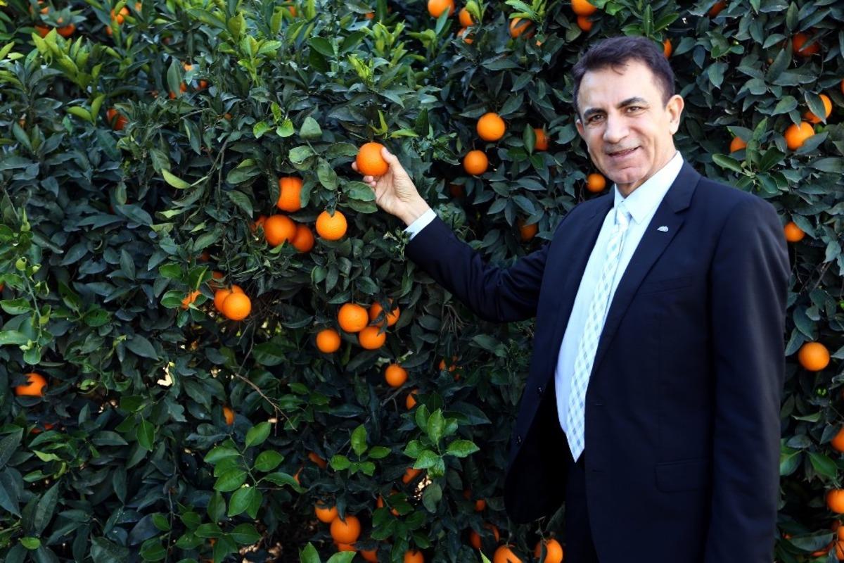 T&uuml;rkiye&rsquo;nin avokado ihracatı 35 kat arttı