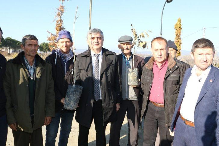 Demirci’de üreticilere ceviz desteği G3