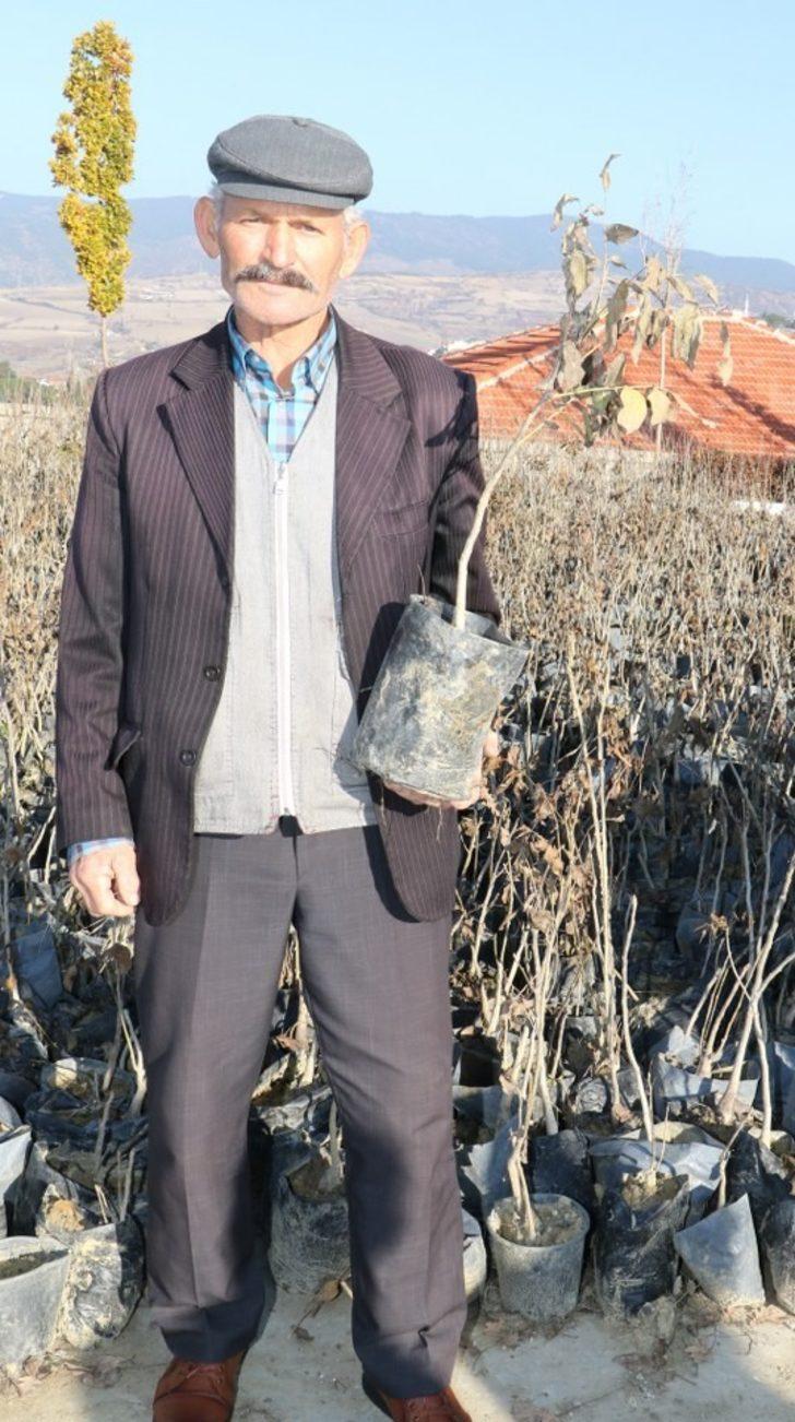 Demirci’de üreticilere ceviz desteği G4