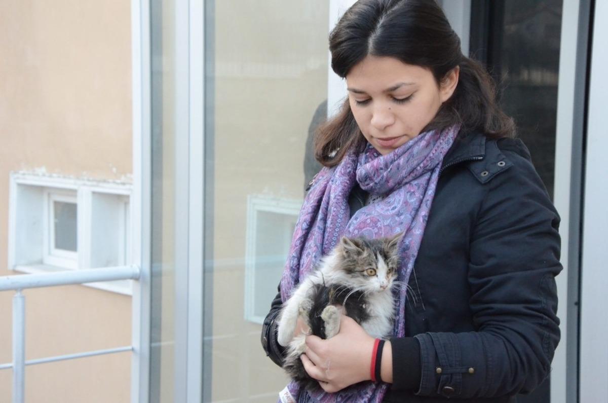&Ouml;ğrenciler ve belediye ekipleri minik kedi i&ccedil;in seferber oldu