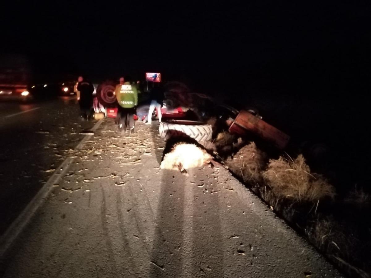 Tır ile trakt&ouml;r &ccedil;arpıştı, koyunlar telef oldu