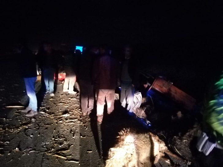 Tır ile traktör çarpıştı, koyunlar telef oldu G2