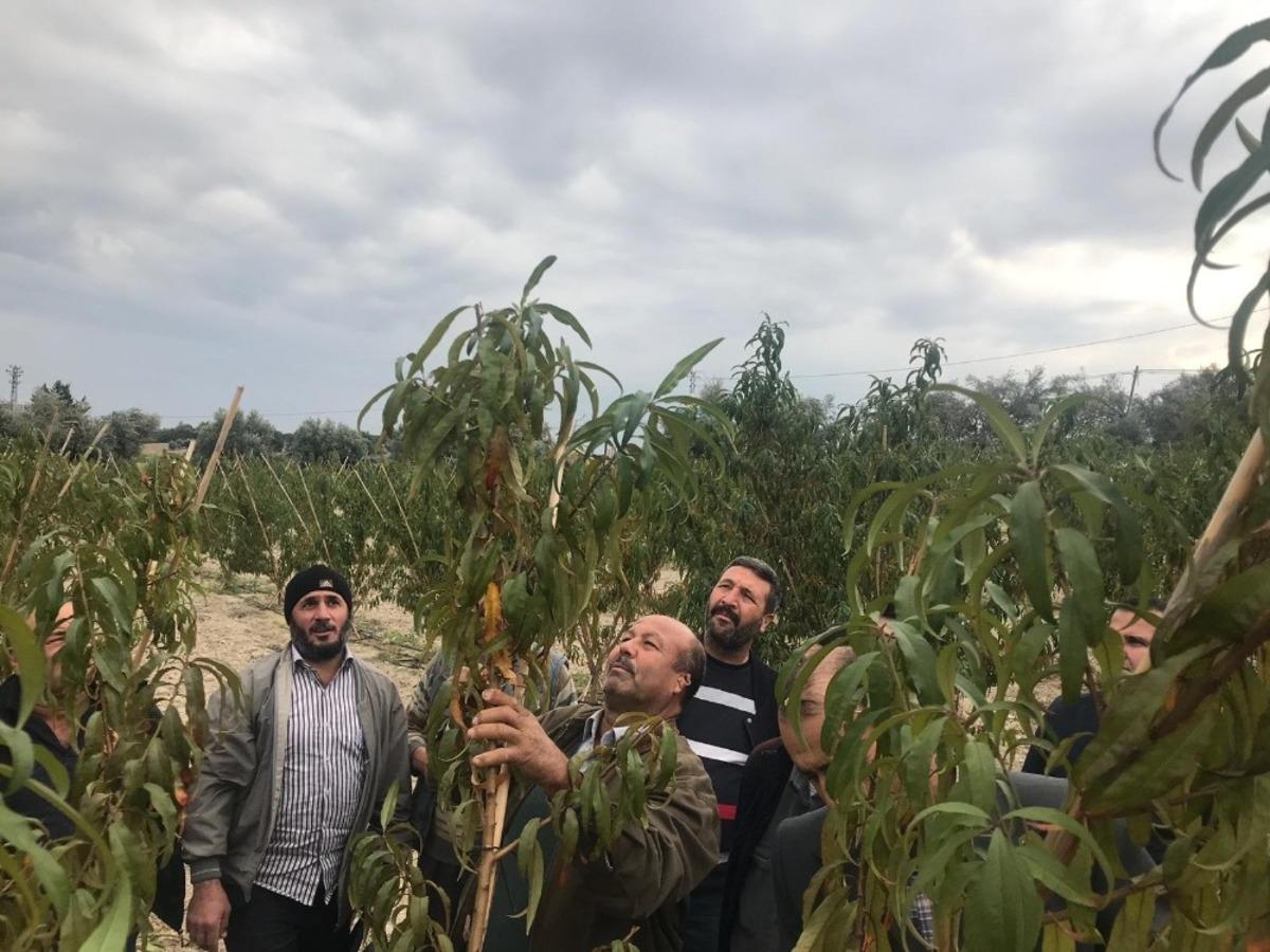 Tarsus&rsquo;ta budama kurusunu tamamlayanlara sertifika