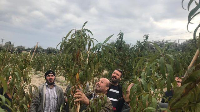 Tarsus’ta budama kurusunu tamamlayanlara sertifika