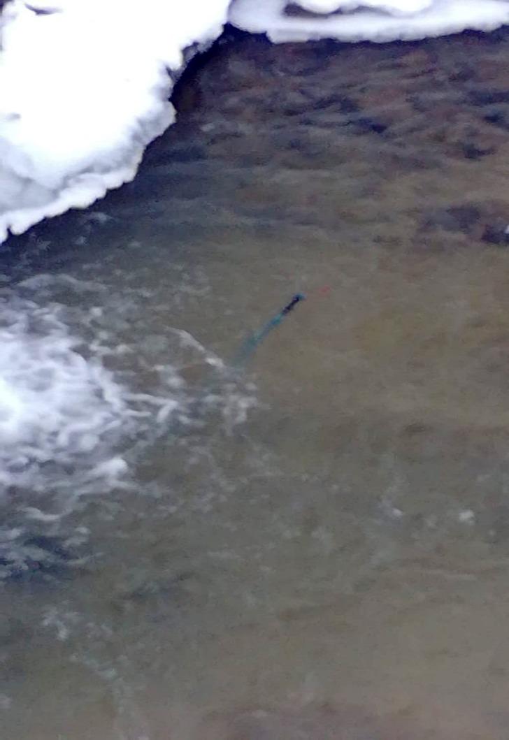 Uludağ'da kaybolan dağcıları arama çalışmalarında yeni gelişme G1