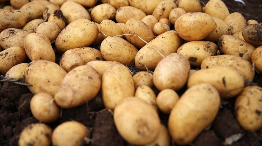 Patates üreticileri borç erteleme istiyor!