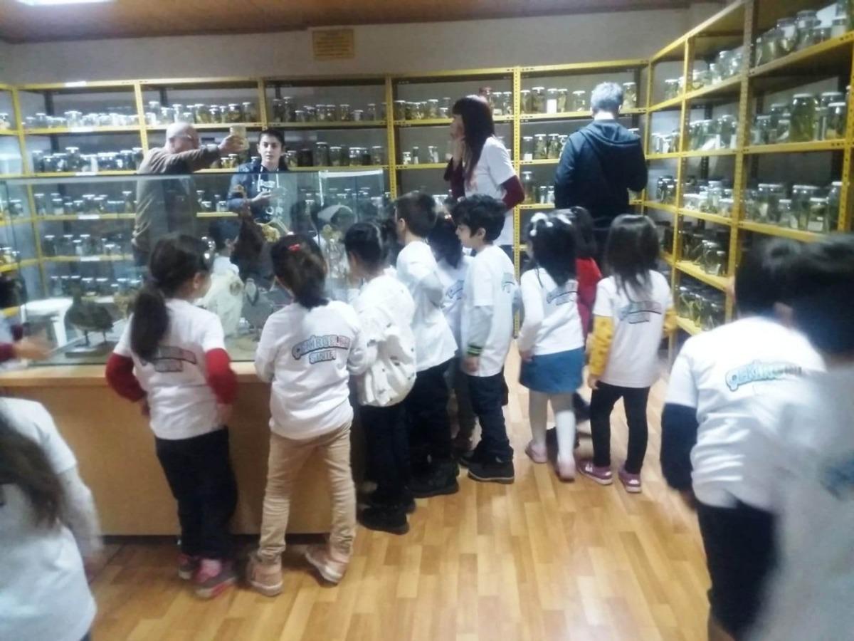 Minik &ouml;ğrenciler s&uuml;r&uuml;ngenleri inceledi