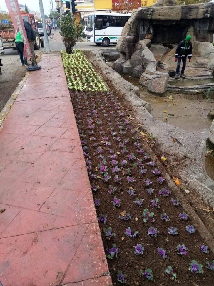 Adıyaman’ın her köşesi rengarenk oluyor G3