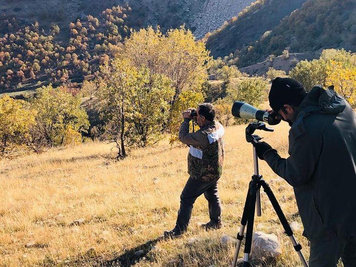 Adıyaman’da dağ keçisi envanteri tamamlandı G2