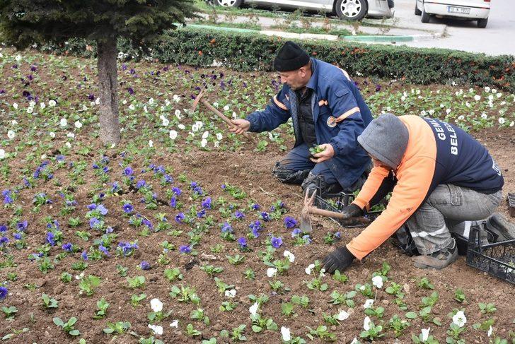 Gemlik yeşilleniyor G1