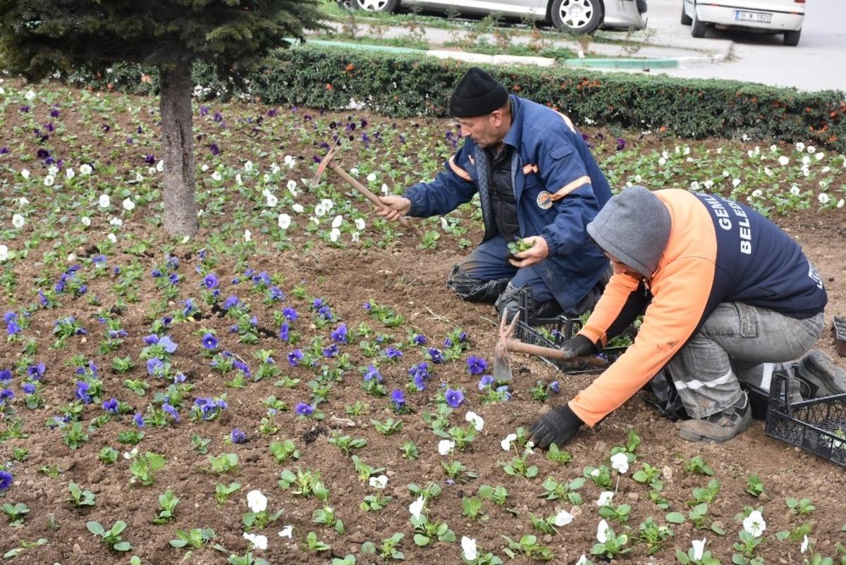 Gemlik yeşilleniyor
