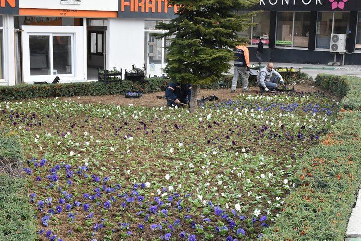 Gemlik yeşilleniyor G3