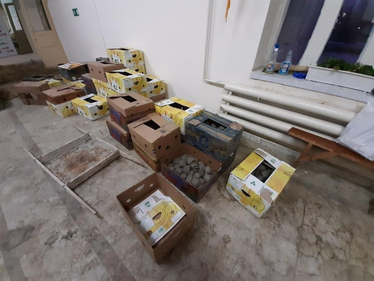 T&uuml;rkiye&rsquo;den Rusya&rsquo;ya ka&ccedil;ırılan 3 bin adet kaplumbağa ele ge&ccedil;irildi