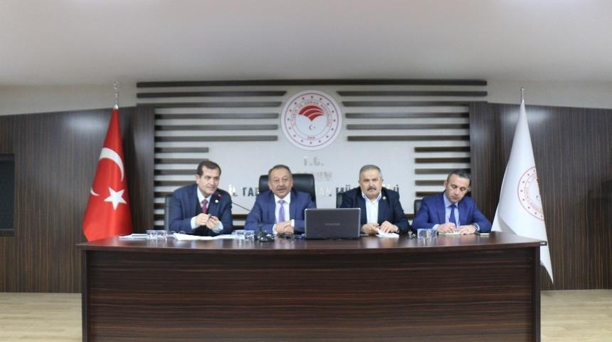 &Ccedil;orum&rsquo;da s&uuml;ne ile dut ağacı dikerek m&uuml;cadele edilecek