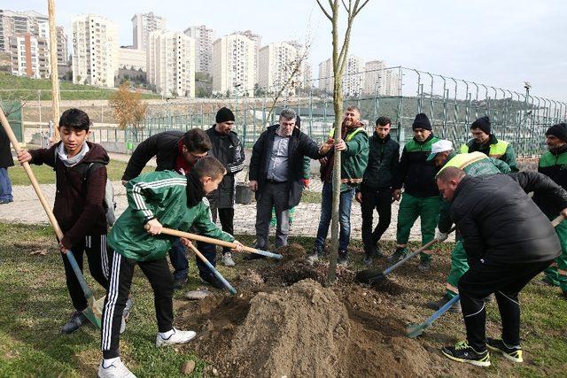 60’ıncı yıla 600 ağaç