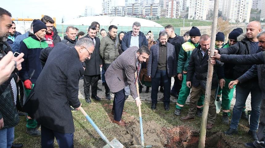 60&rsquo;ıncı yıla 600 ağa&ccedil;