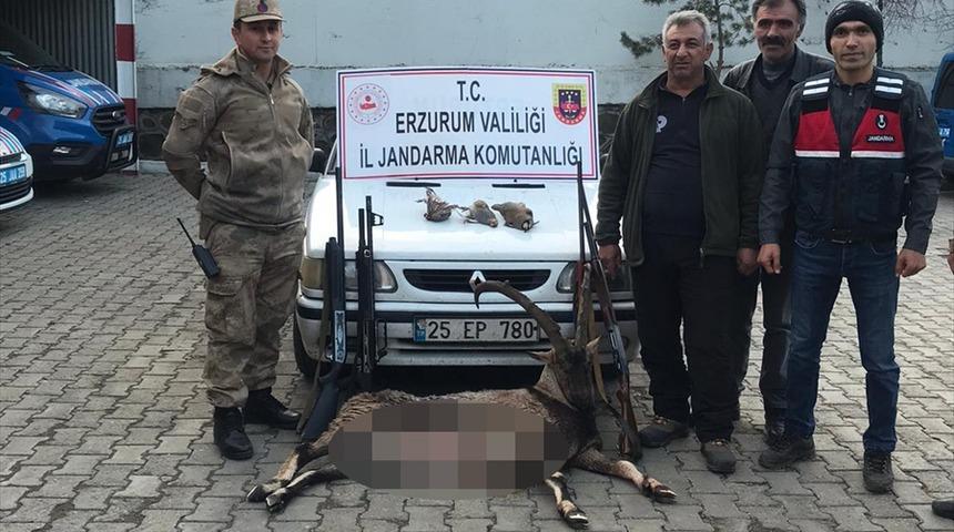 Erzurum'da ka&ccedil;ak avcılara, 29 bin 365 lira ceza kesildi