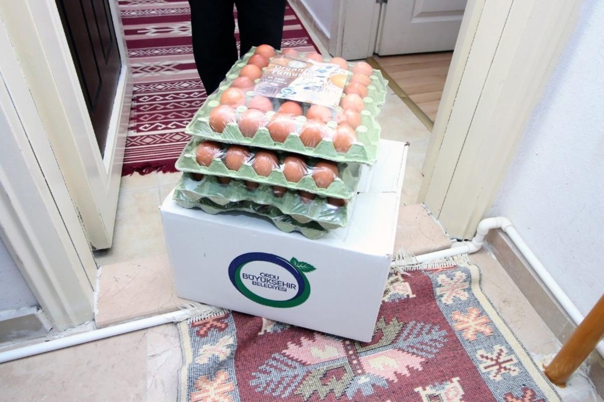 Ordu&rsquo;da 90 bin organik yumurta ihtiya&ccedil; sahiplerine dağıtılıyor