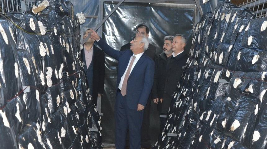 Kırıkkale’de 2 çiftçiye mantar üretim tesisi kuruldu