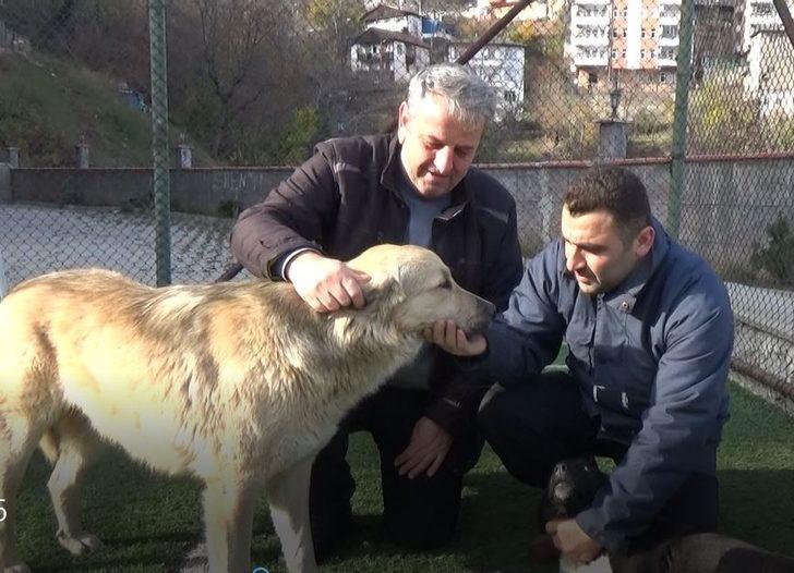 Sosyal medyada çıkan görüntülerinden ardından köpekten özür diledi G1