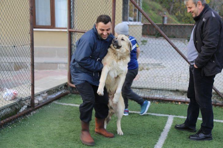 Sosyal medyada çıkan görüntülerinden ardından köpekten özür diledi G2