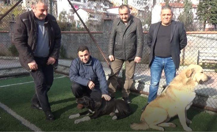 Sosyal medyada çıkan görüntülerinden ardından köpekten özür diledi G3