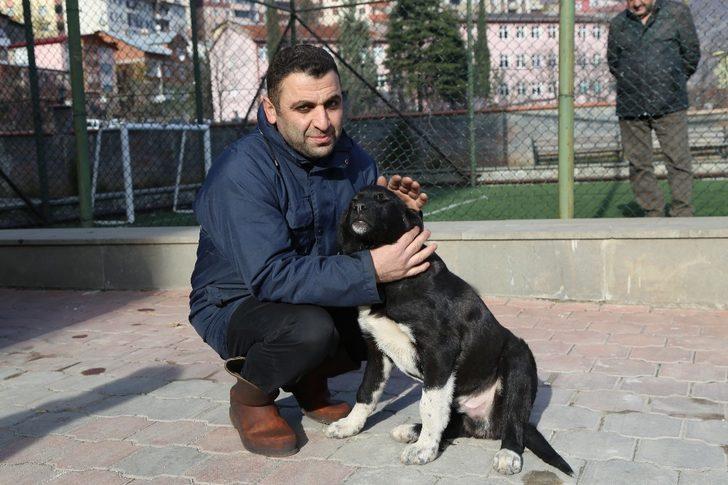 Sosyal medyada çıkan görüntülerinden ardından köpekten özür diledi G4