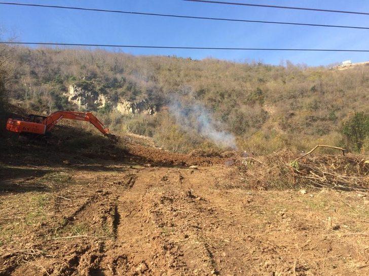 Fındık üreticileri 'Drakula'ya çözüm bulamadı!  G3