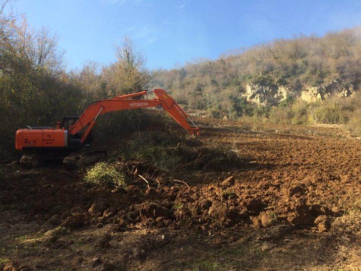 Fındık üreticileri 'Drakula'ya çözüm bulamadı!  G4