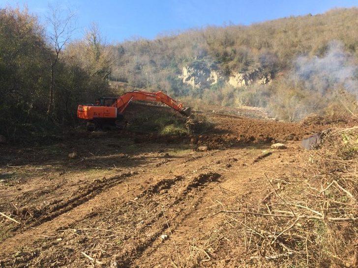 Fındık üreticileri 'Drakula'ya çözüm bulamadı!  G5