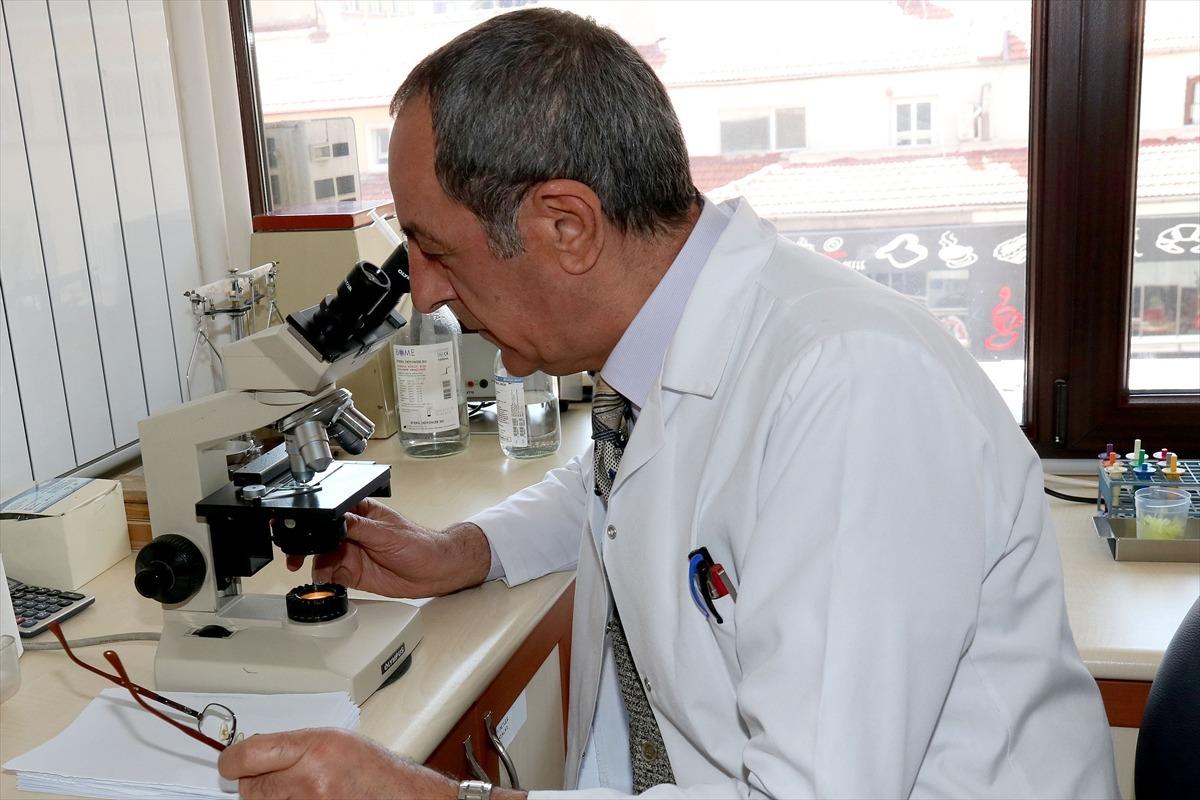 &Ccedil;ankaya Belediyesinin HIV ve AIDS testlerinden 2 bin 266 kişi yararlandı