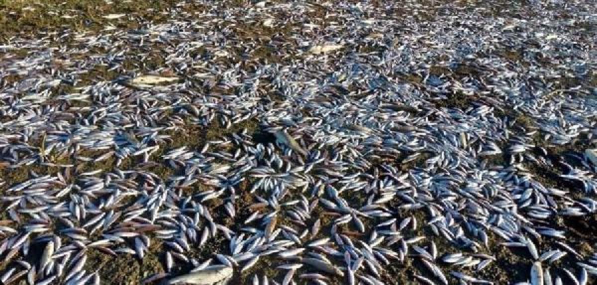 Gerede &Ccedil;ayı'ndaki kirliliğe 361 bin lira ceza