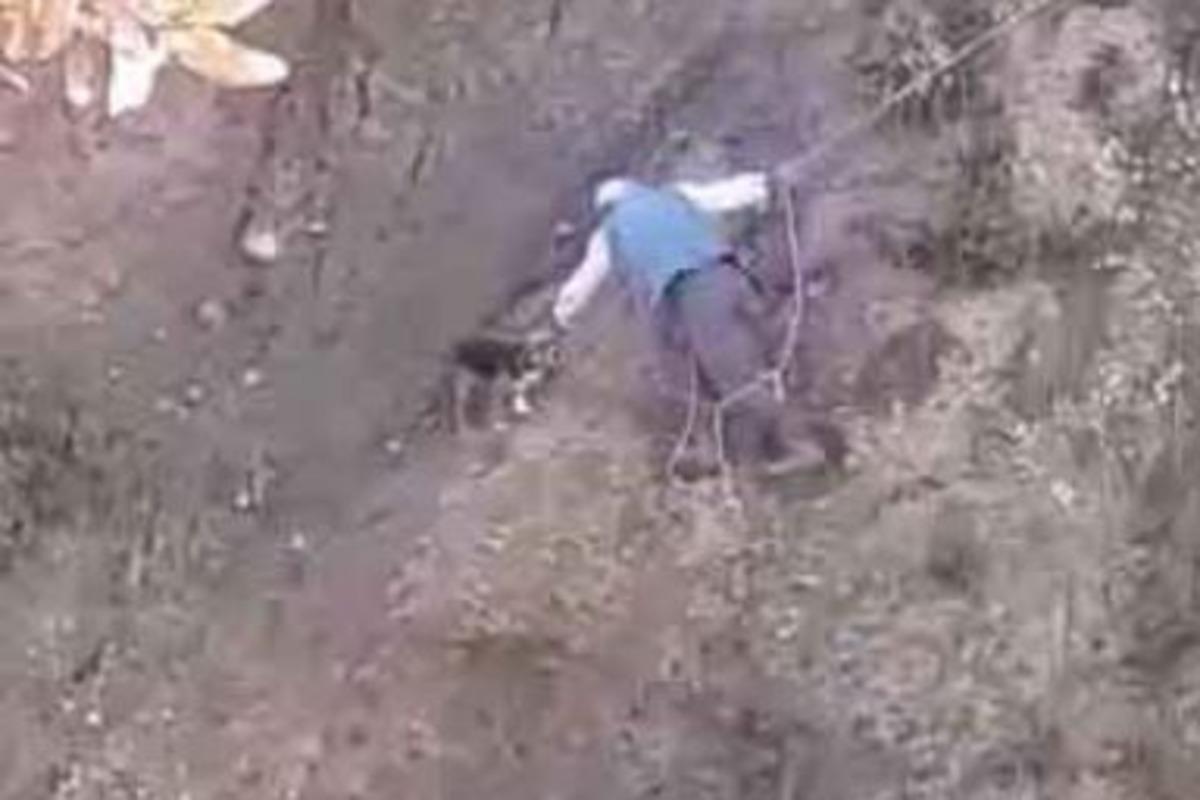 Mahsur kalan k&ouml;peği iple b&ouml;yle kurtardı