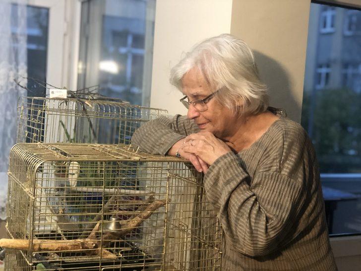 Yaralı kargaya evinde besleyen kadına bin 294 lira ceza  G4